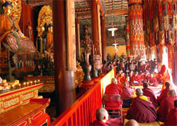 Lamas in Lama Temple (Yonghe Lamasery)