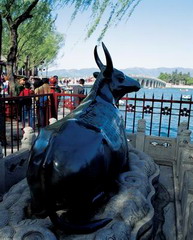 Bronze Ox, summer palace