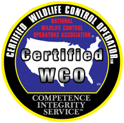certified wildlife control operator